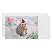 Merry Christmas Squirrel Customized Photo Card