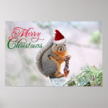 Merry Christmas Squirrel Posters