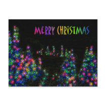 Merry Christmas Tree Lights Postcard postcards