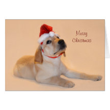 Merry Christmas - Yellow Lab Cards