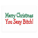 Merry Christmas You Sexy Bitch Post Card