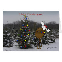 Merry Christmoose! Card