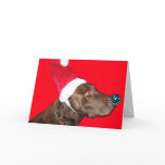 Merry Dogmas! cards