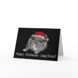 Merry Freaking Christmas Fat Cat Christmas Card