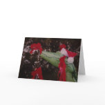 Merry Gator Christmas cards