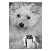 MERRY KISSMAS GREETING CARDS