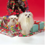 Merry Maltese Christmas Ornaments photo sculptures