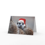 Merry Meerkat Christmas - Seasons greetings 2 Card