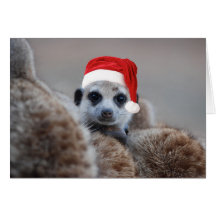 Merry Meerkat Christmas - Seasons greetings 2 Card