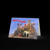 Merry Meerkats Card