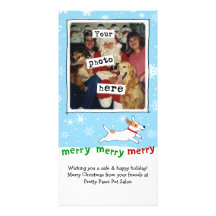 Merry Merry Merry Jack Russell Terrier Christmas Photo Card