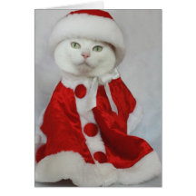 Merry Missy Greeting Card