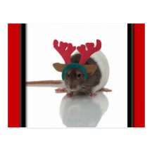 Merry Ratmas Post Cards