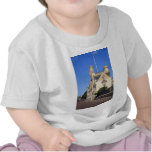 Merton College, Oxford Tshirts