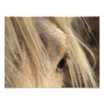 Messy Mane Day Photo Art