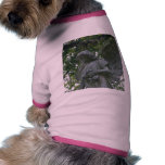 Metairie Angels Statues pet clothing