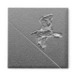 Metal Bird magnets