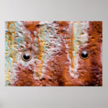 metal eyes rust posters
