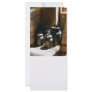 Metal Jugs by Window Customized Rack Card