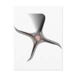 Metal Starfish Postcard