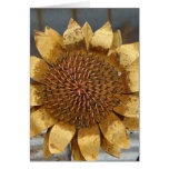 Metal Sunflower Card