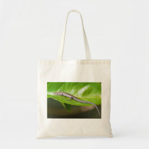 Metallic Cool Skink Niveoscincus Metallicus Bag
