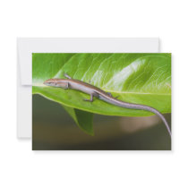 Metallic Cool Skink Niveoscincus Metallicus Personalized Invitations