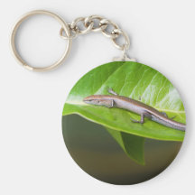 Metallic Cool Skink Niveoscincus Metallicus Keychain