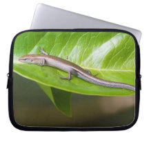 Metallic Cool Skink Niveoscincus Metallicus Laptop Sleeves