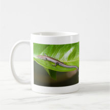 Metallic Cool Skink Niveoscincus Metallicus Coffee Mugs