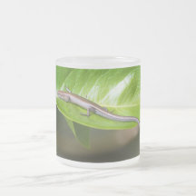 Metallic Cool Skink Niveoscincus Metallicus Mugs