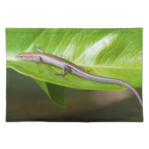 Metallic Cool Skink Niveoscincus Metallicus Place Mats