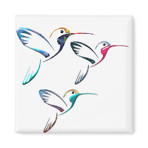 Metallic Tropical Hummingbird