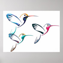 Metallic Tropical Hummingbird