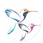 Metallic Tropical Hummingbird