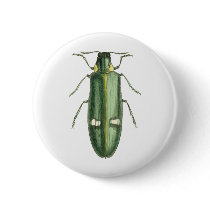 Metallic Wood-Boring Beetle Pins