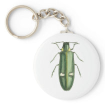 Metallic Wood-Boring Beetle Key Chain