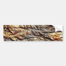 Metamorph Auto Sticker