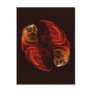 Metamorphosis Abstract Art Postcard