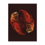 Metamorphosis Abstract Art Postcard