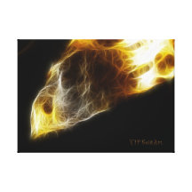 Meteorite Wrapped Canvas Stretched Canvas Print