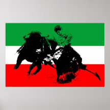 Mexican Bull Fighter Posters