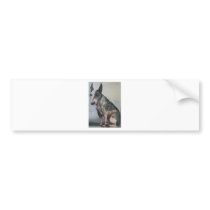 Mexican day of the dead bull terrier bumper stickers