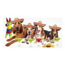 Mexican Fiest Photo Card Template