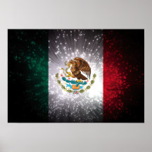 Mexican Flag Firework Print