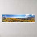 Mexican Golden Poppies - Franklin Mountains posters