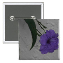 Mexican Petunia  flower Pinback Buttons