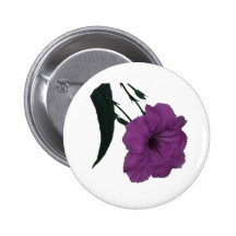 Mexican Petunia pink colourized flower