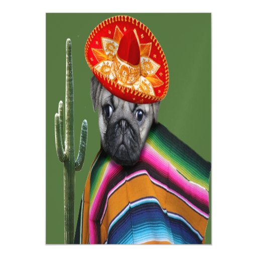 mexican pug mexican pug magnetic card magnetic invitations zazzle mexican pug mexican pug magnetic card magnetic invitations zazzle