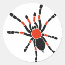 Mexican Red Kneed Tarantula Round Sticker